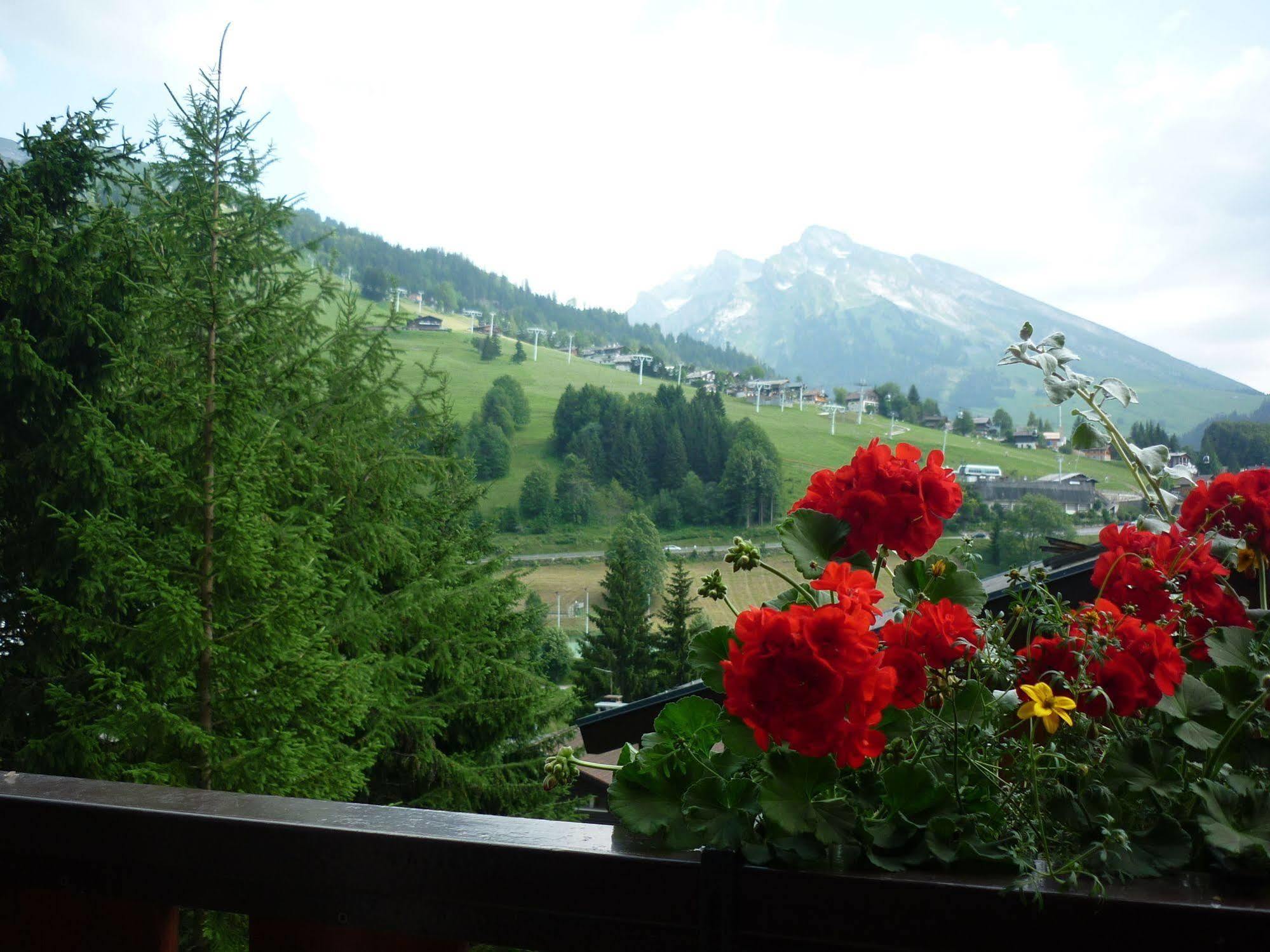 Location D'Appartements - La Residence La Clusaz Dış mekan fotoğraf